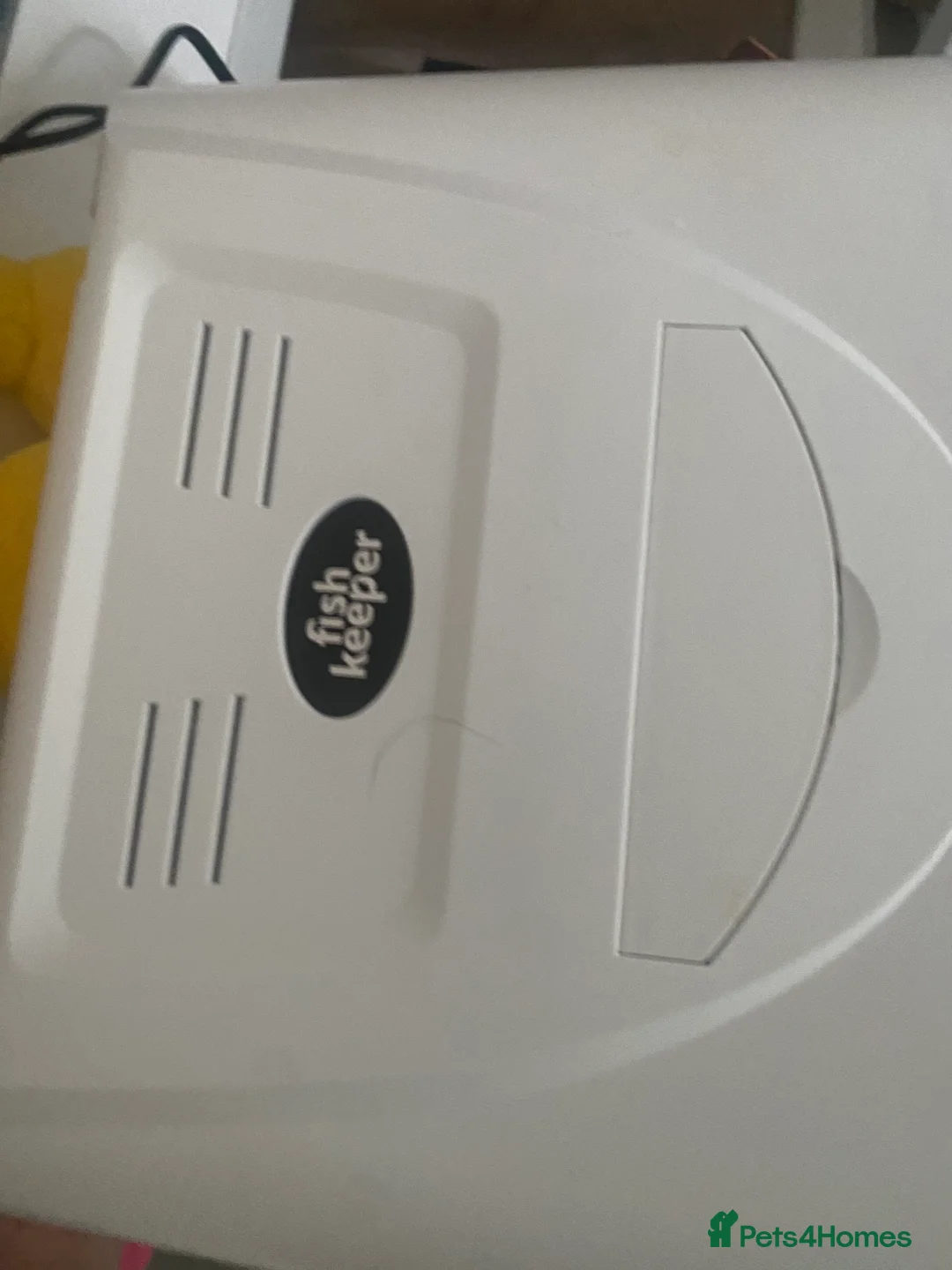 Other/Mixed Breed fish for sale: Small Fish Tank-Small Fish-2 dwarf frogs - Advert 3