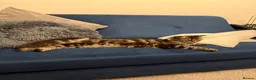 Mixed Breed cats for sale: Main coons ready for new home  - Advert 3