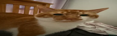 Loki