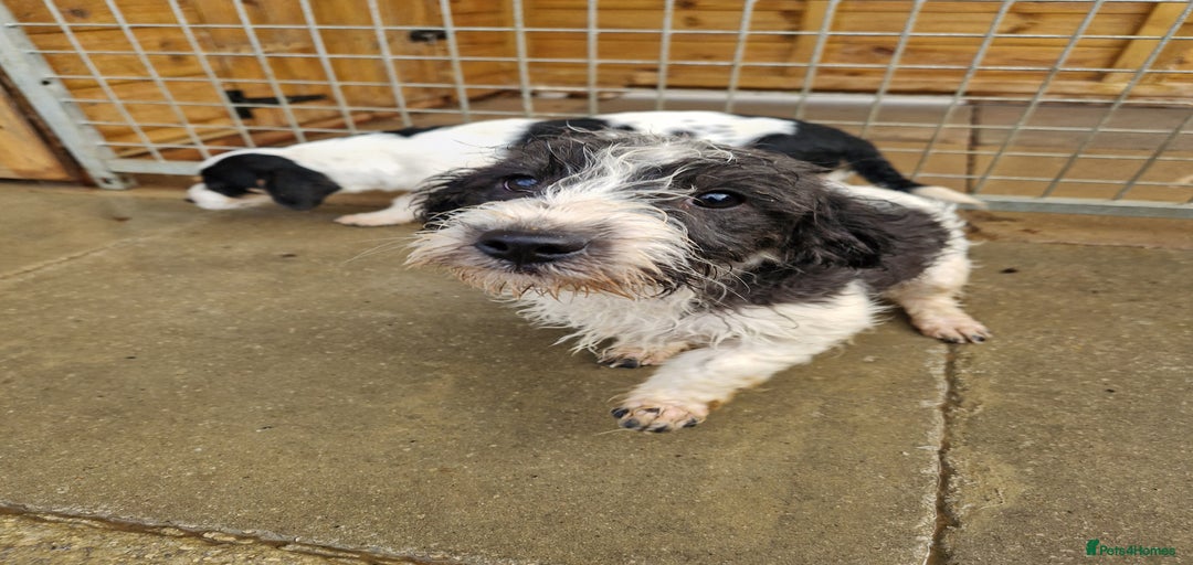 Gallery Image {{count}}