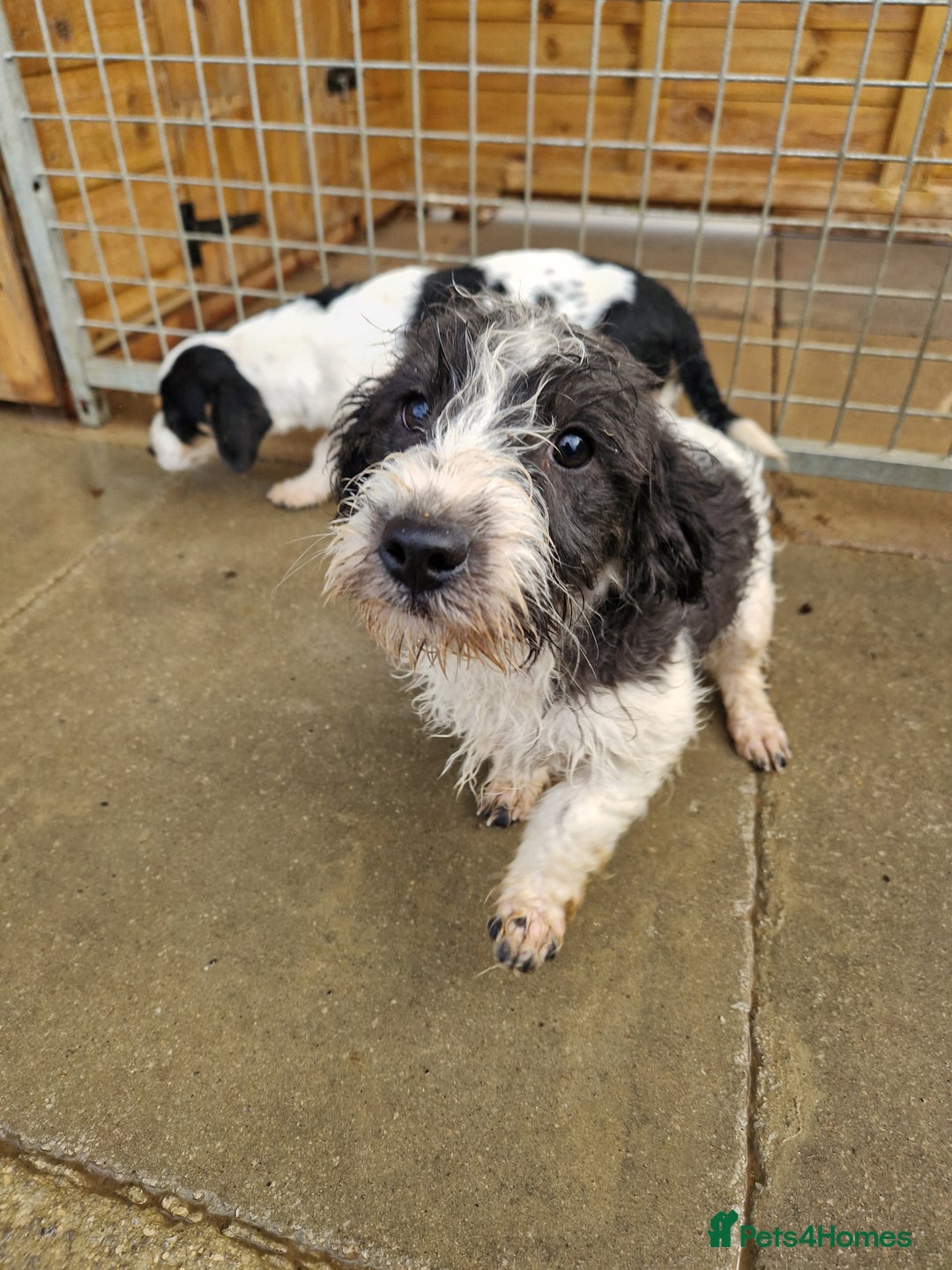 Gallery Image {{count}}