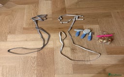 Mini Lop rabbits for sale: 2 amazing mini-lop baby brothers (10 weeks)  - Advert 7