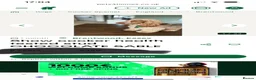 Cocker Spaniel dogs for stud: Stud dog cocker spaniel orange roan  - Advert 3