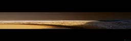Corn Snake reptiles for sale: Albino corn snake - Advert 1