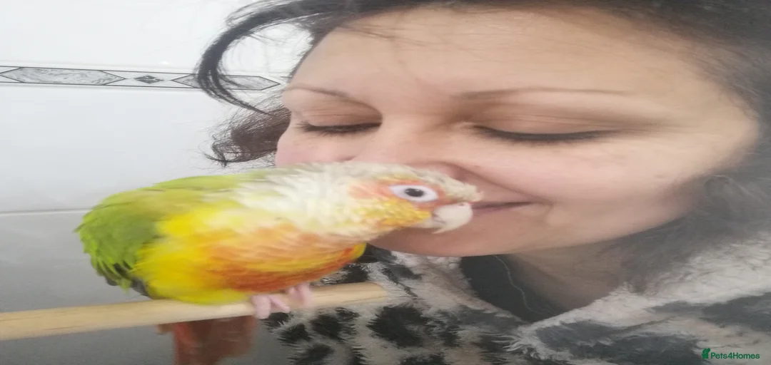 Gallery Image {{count}}