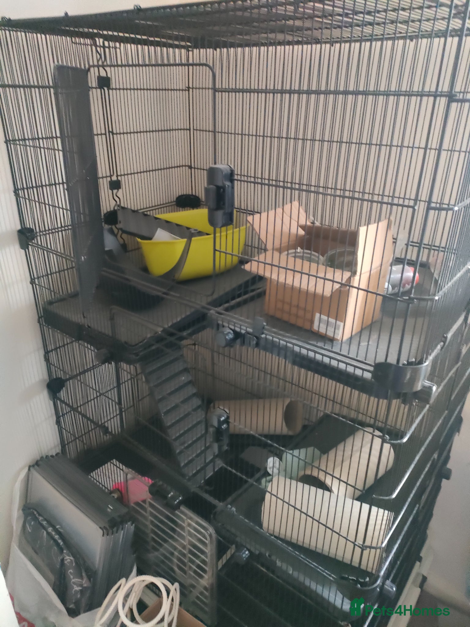 Rat rodents Huge rat cage for sale  - Advert 4