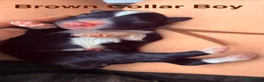 Brown collar