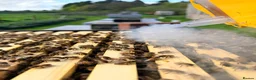 Mixed Breed invertebrates for sale: 6 Frame Overwintered National Nucleus of Bees 2027 - Advert 24