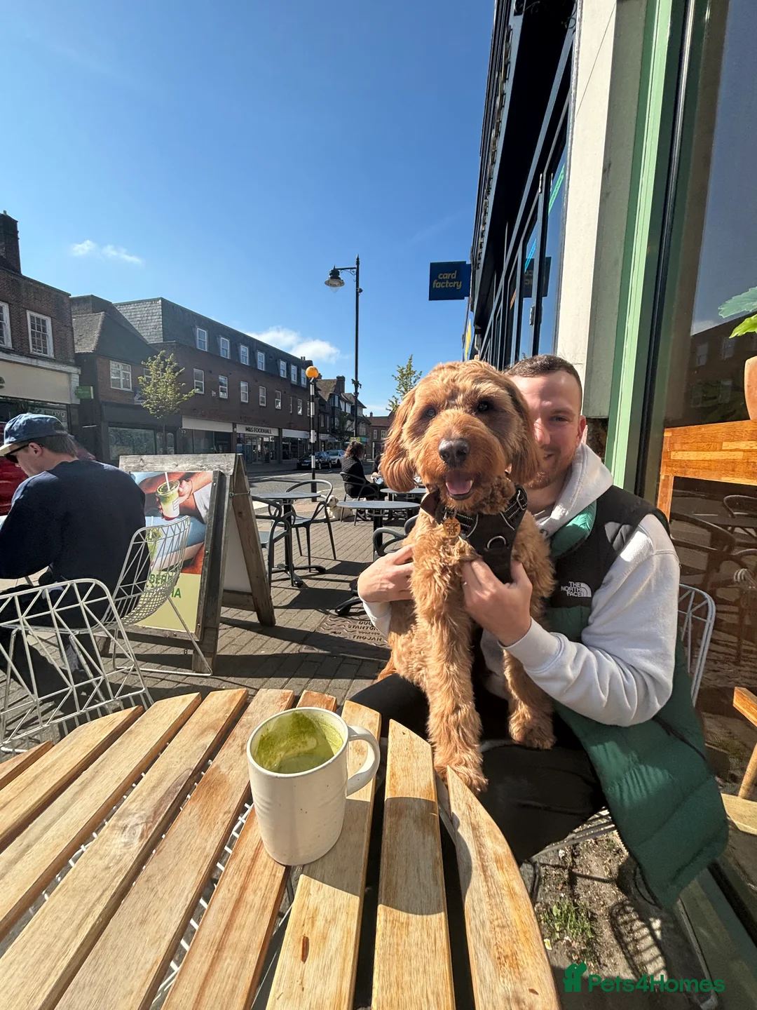 Gallery Image {{count}}