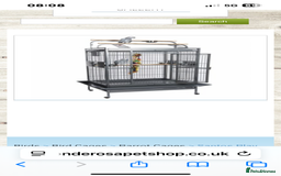 Parakeets birds for sale: Alexandrine and Full set up - Image 7