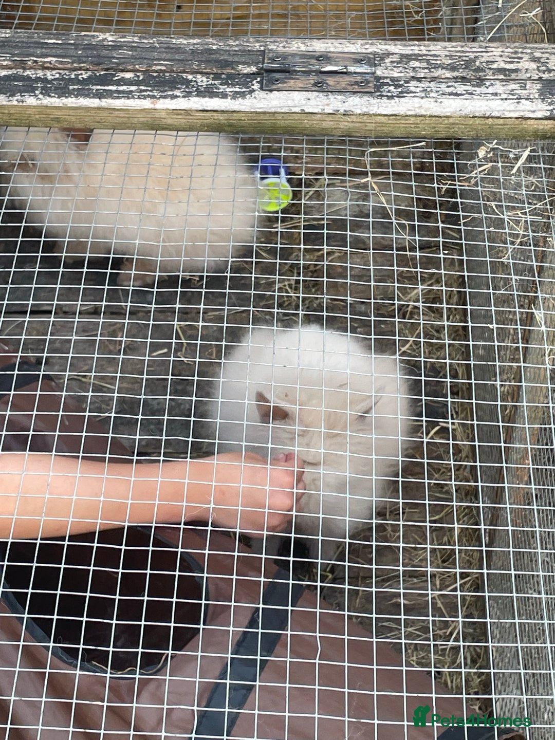 Gallery Image {{count}}