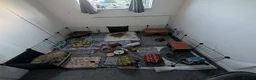 Guinea Pig rodents for sale: 3 males giuena pigs with full cage set up  - Advert 2
