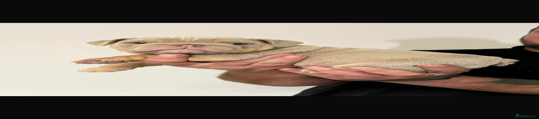 Ar'es 