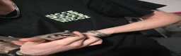 Sugar Glider rodents for sale: Sugar gliders - Advert 3