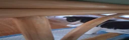Scottish Fold cats for sale: Scottish Fold Kittens in Peterborough - Advert 3