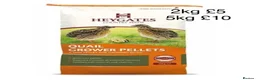Quail poultry for sale: Beautiful Button Quail Chicks (CPQ, King) & EGGS - Advert 24