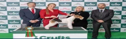 Fox Terrier dogs for sale: Kc registered wire fox terriers  - Advert 1