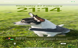Chihuahua dogs for stud: For stud only  - Image 2