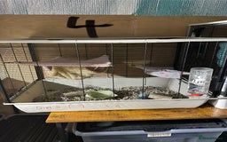 Rat rodents for sale: Rats & complete set up - Image 23