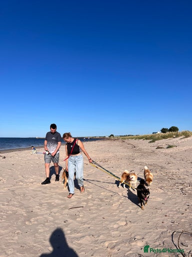 Gallery Image {{count}}