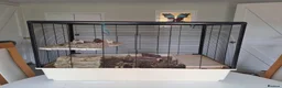 Mouse rodents for sale: Bonded female fancy mice, free to a good home  in Oxford - Advert 6