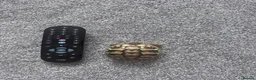Hermann Tortoise reptiles for sale: Hermann Tortoise in Blackwood - Advert 7