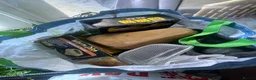 Frog reptiles for sale: 3 White’s Tree Frogs, 2 Vivs, Loads of Equipment🐸 - Advert 12