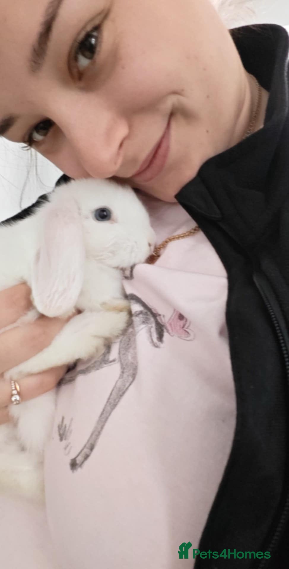 Mini Lop rabbits Beautiful 11-week-old Blue-eyed Lop Bunny for Sale - Advert 3