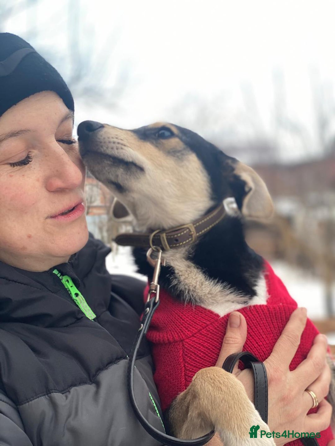 Mixed Breed dogs for adoption: ❤️ZITA&GITA❤️ – Together or Separately - Advert 6