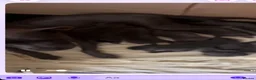 Staffordshire Bull Terrier dogs for sale: Staffordshire bull terriers pups - Advert 1