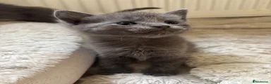 Stormy
