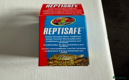 Gecko reptiles for sale: 2x baby crested gecko and full bioactive setup - Image 19