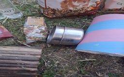 Guinea Pig rodents for sale: 3 Female Guinea Pigs- plus Hutch and extras - Image 14