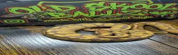 Python Snake reptiles for sale: Ultramel female ball python  - Advert 4