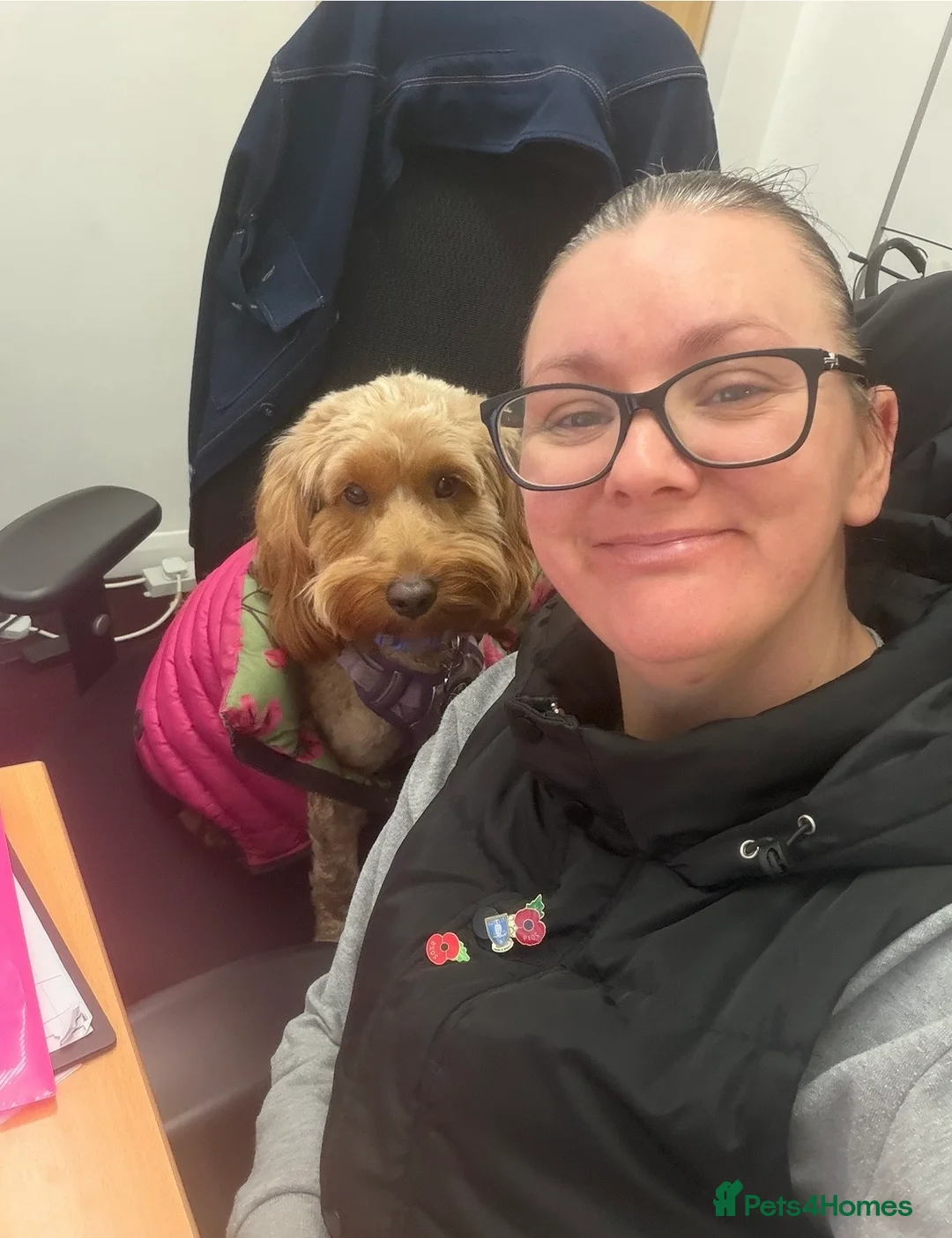 Gallery Image {{count}}