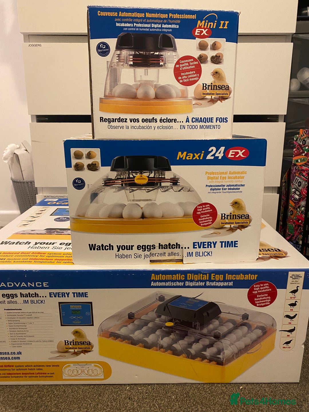 Chickens poultry for sale: Incubators, candlers, brooder, auto doors - Advert 5