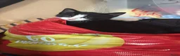 Mixed Breed cats for sale: 🐾 Adorable Black & White Kittens 🐾 in Willenhall - Advert 5