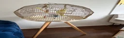 Cockatiels birds for sale: Beautiful Hand-Tame Cockatiel With Cage and Stand - Advert 3
