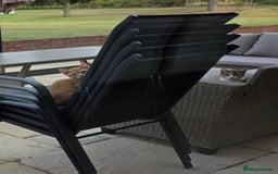 Mixed Breed cats for sale: 2 kittens need a loving home - Image 12