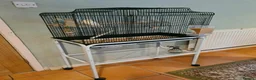 Budgerigars birds for sale: Budgies & Cages - Advert 4