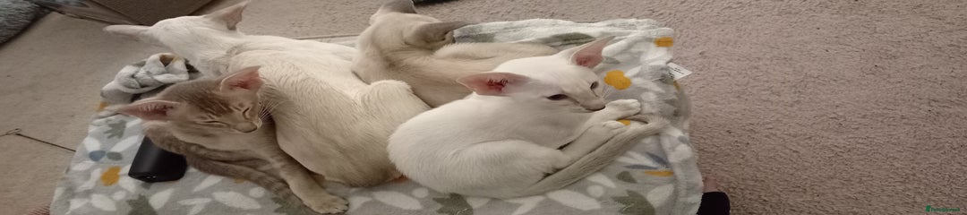 Reserved. Evita