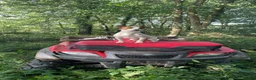 Jack Russell dogs for sale: Purebred smooth coat short leg jack russell pups  in Liskeard - Advert 1