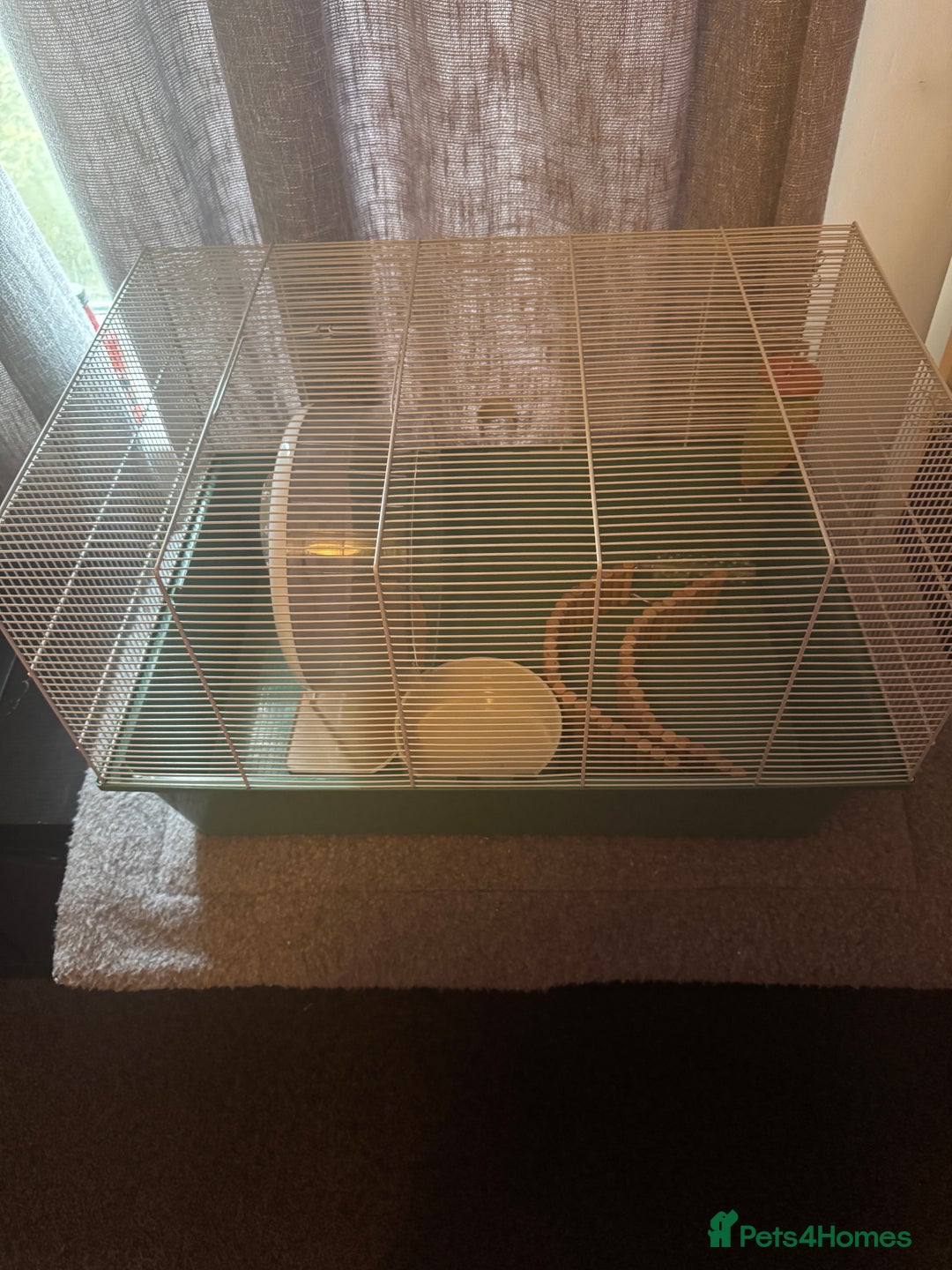 Hamster rodents for sale: Hamster house bundle - Advert 1