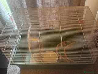 Hamster rodents Hamster house bundle - Advert 4
