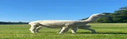 Alpaca livestock for sale: BAS registered breeding female Alpacas  - Advert 18