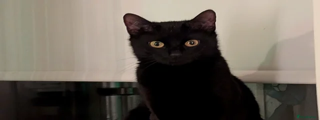 Sugar