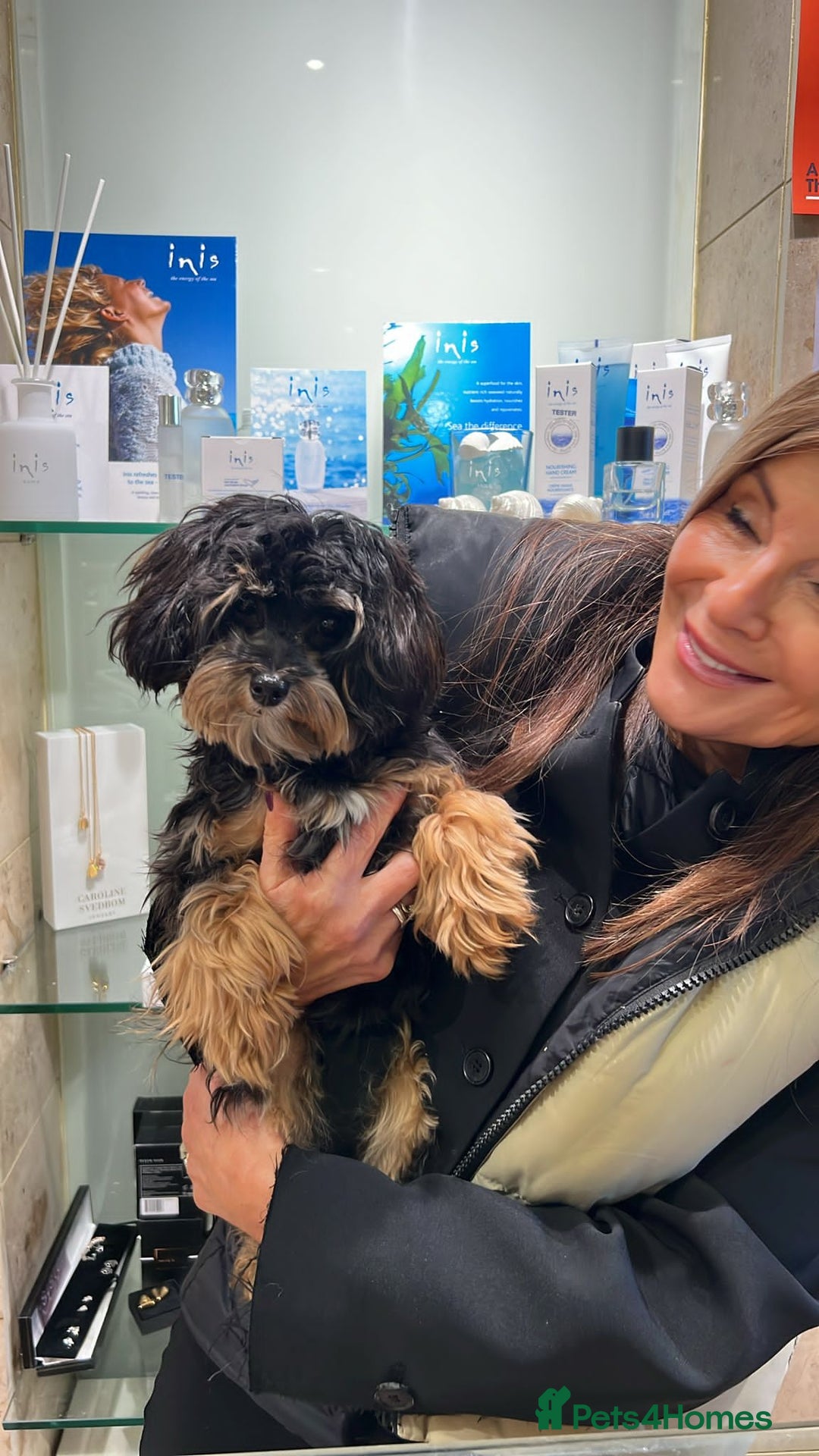 Maltipoo dogs for sale: 🩷 1 Baby Girl Available  - Advert 33