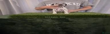 Dalmatian 4