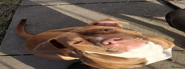 ZINA
