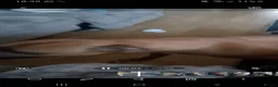 Mixed Breed dogs for sale: Staff x sharpei - Advert 19